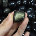 Goldener Obsidian Trommelstein 15–25 mm