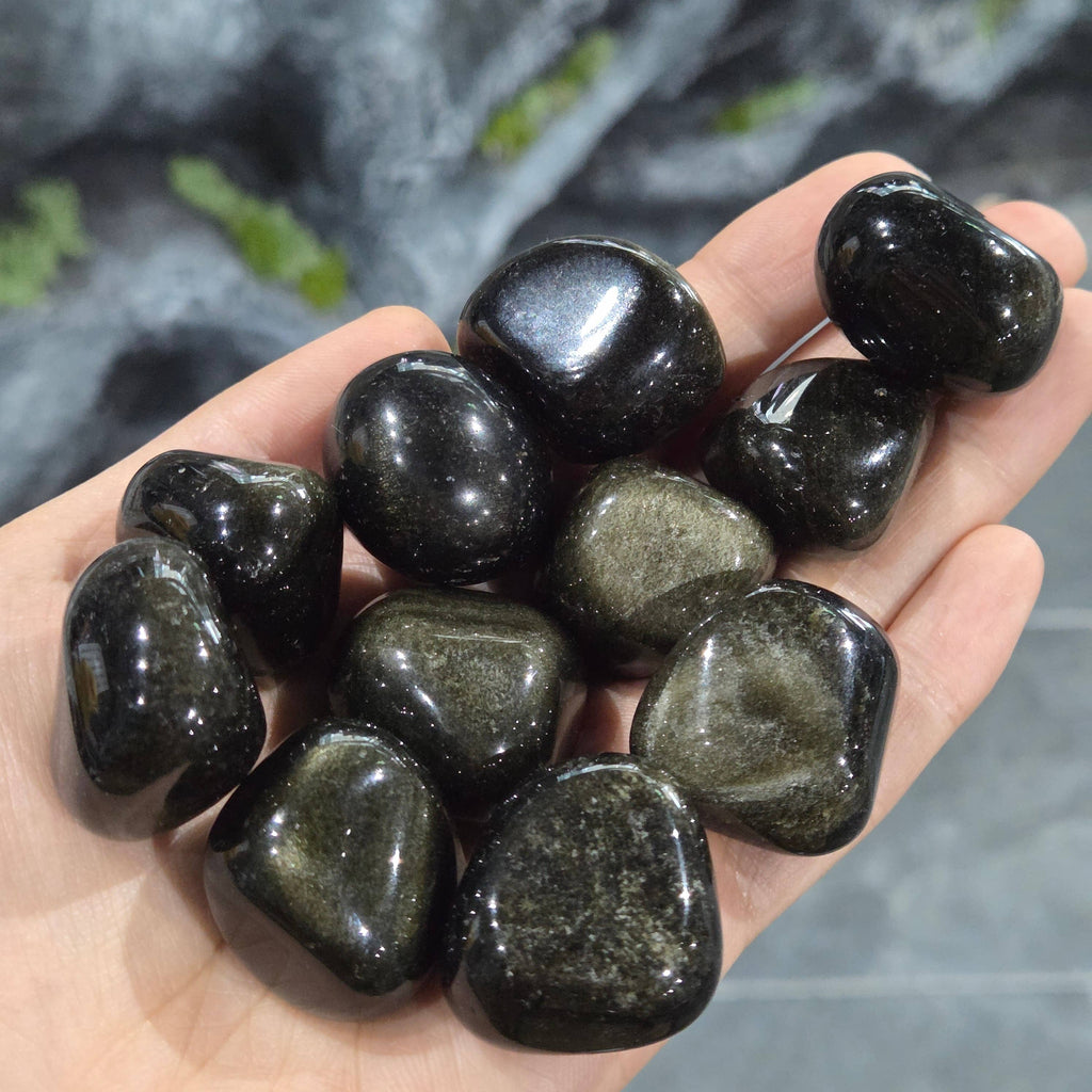Goldener Obsidian Trommelstein 15–25 mm