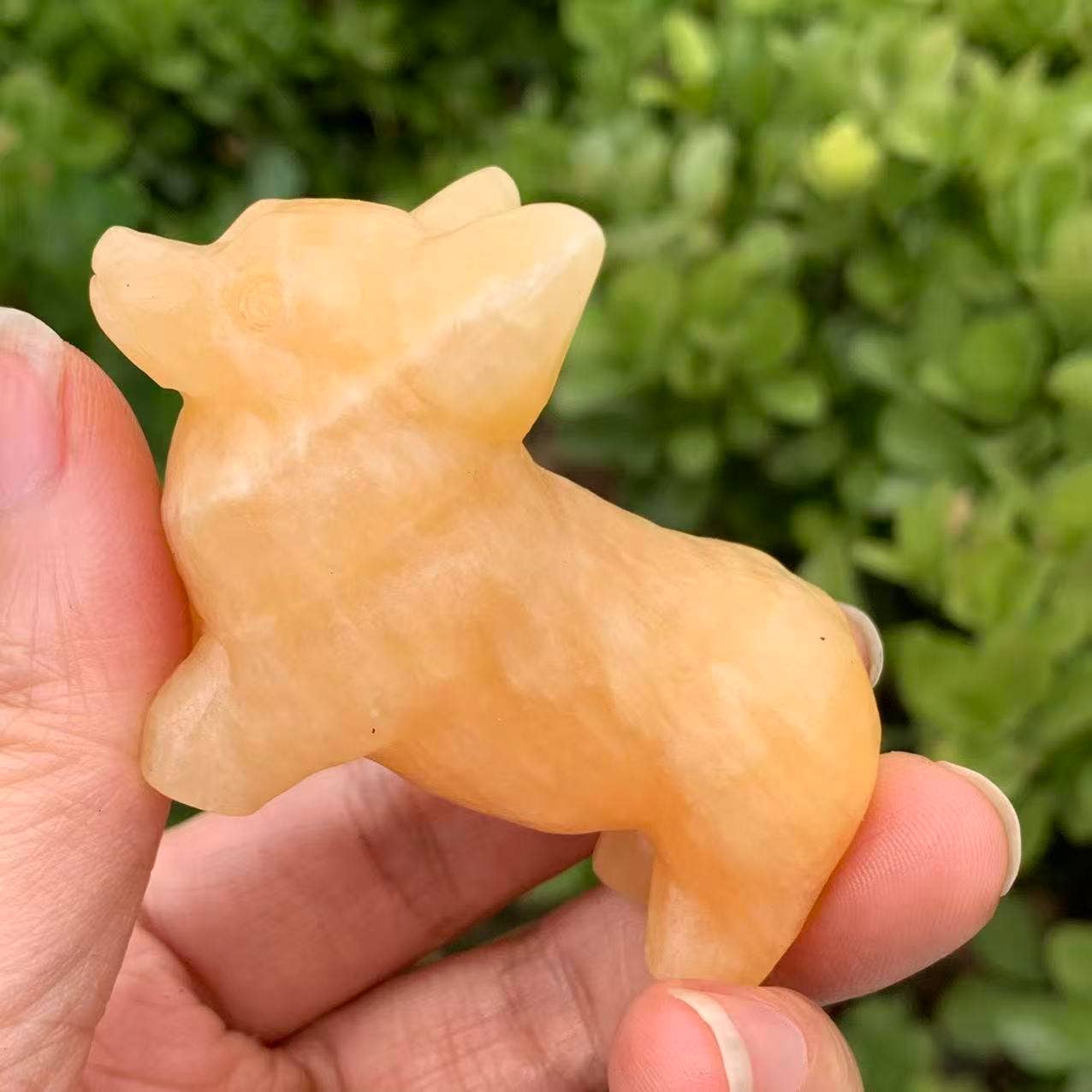 Gelbe Jade Hund-Schnitzerei